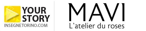 logo_mavi